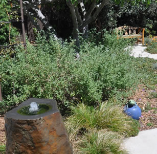 Long Walkway Garden